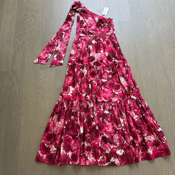 Cara Cara Mattera Floral One Shoulder Maxi Dress Pink Enchanted Tie Sz 4 w/ tags - Picture 2 of 11